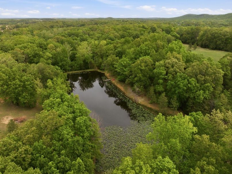 DJI_20260424071142_0398_D