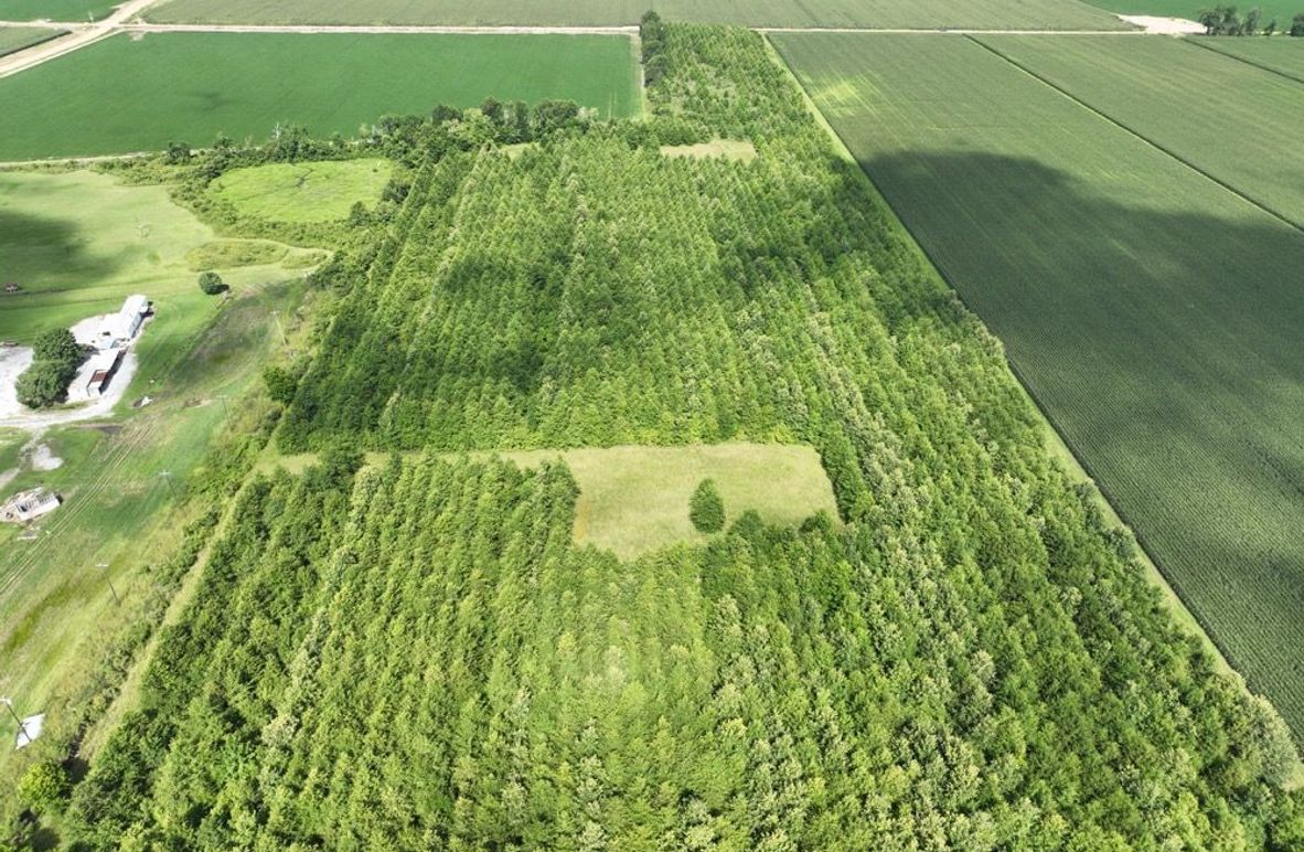 dji_fly_20250620_100246_12_1750611246177_photo