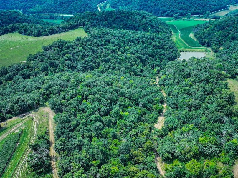 New Albin 8_8 edits-36