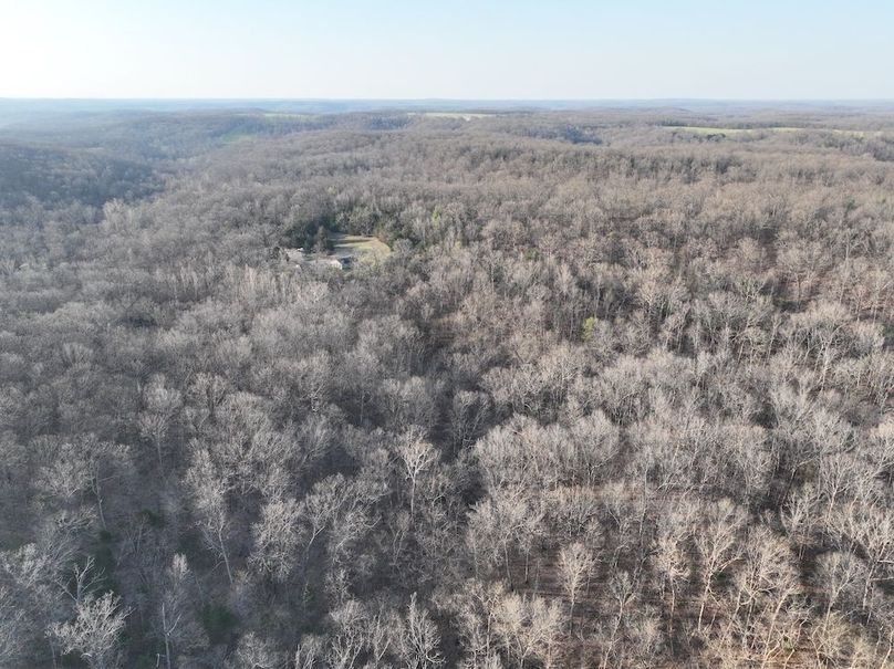 dji_fly_20260330_081308_546_1774914496564_photo