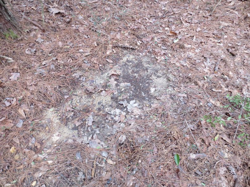 9C930763-8758-4EDD-9A6C-878D333F00C9