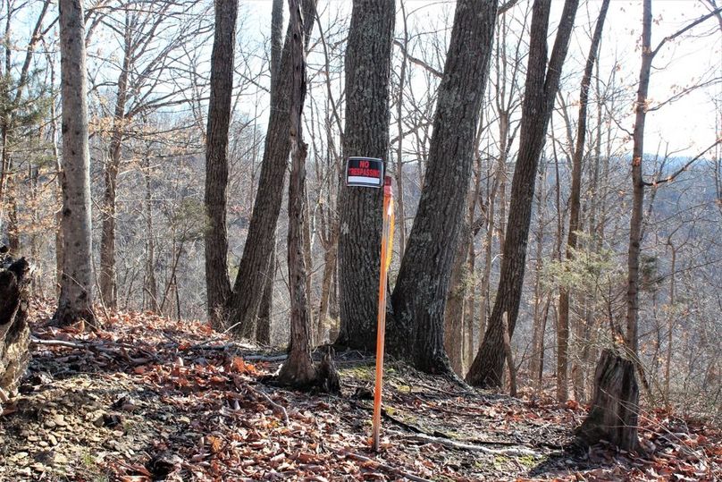 033 well marked surveyed corner at a northwest corner of the property