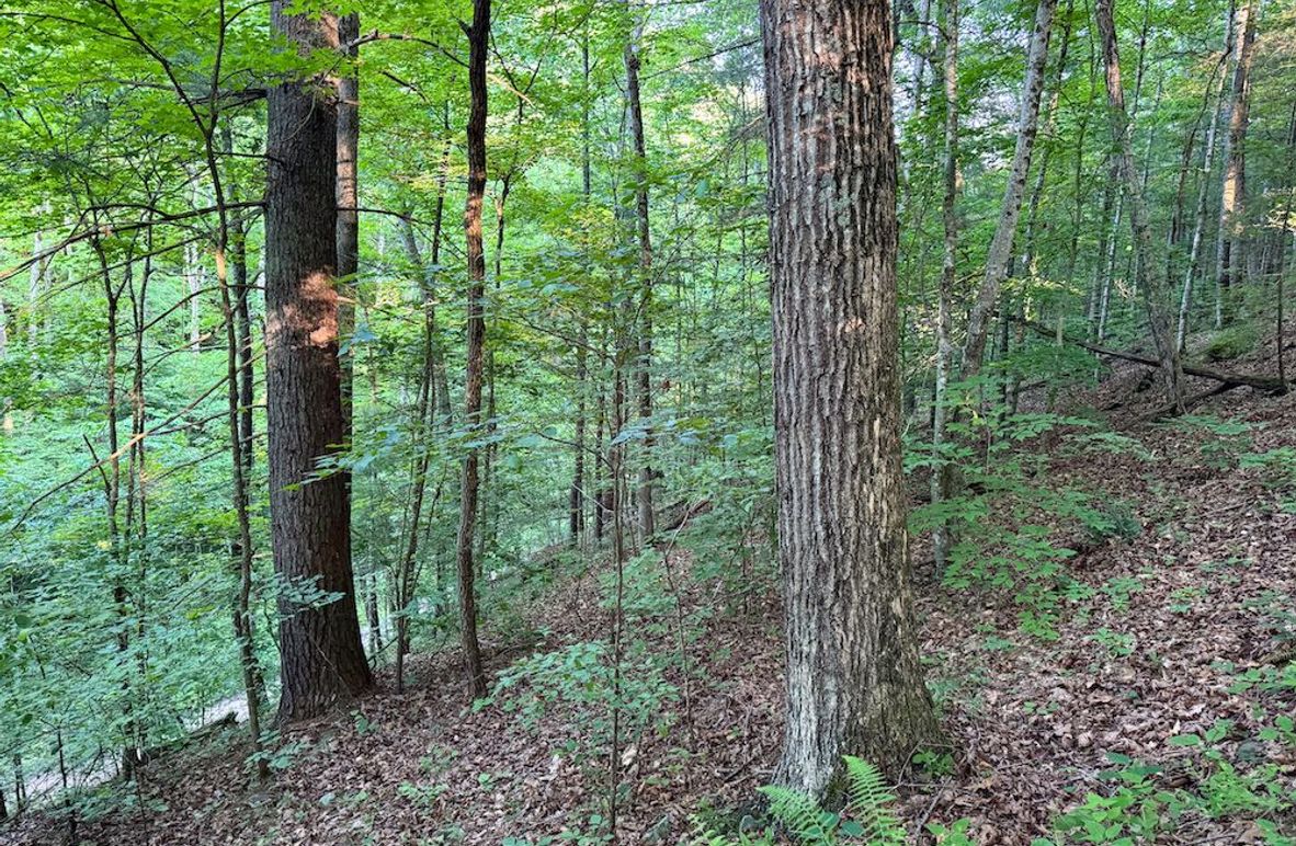 Ritchie, WV 92 AC Thompson-04