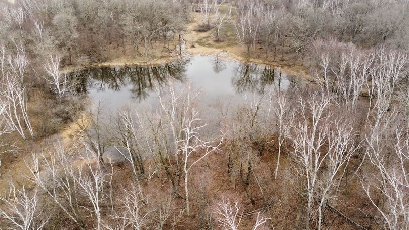 dji_fly_20240410_090702_295_1712758252147_photo_optimized