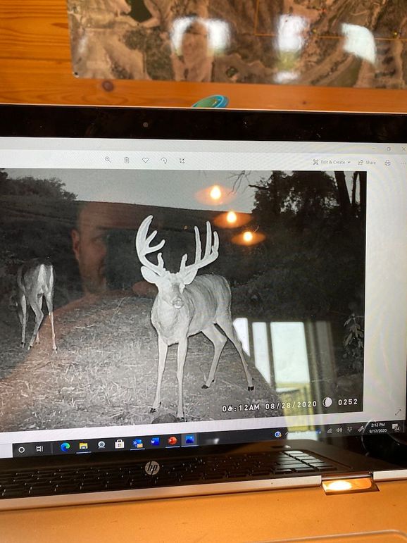 62206276391__D33A7778-647B-41D3-9D37-800BC2A43064