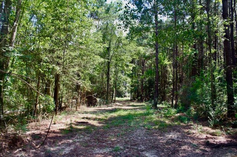 D3CA3899-8A3C-4C37-9B3A-09E261AAAD9C_1_105_c