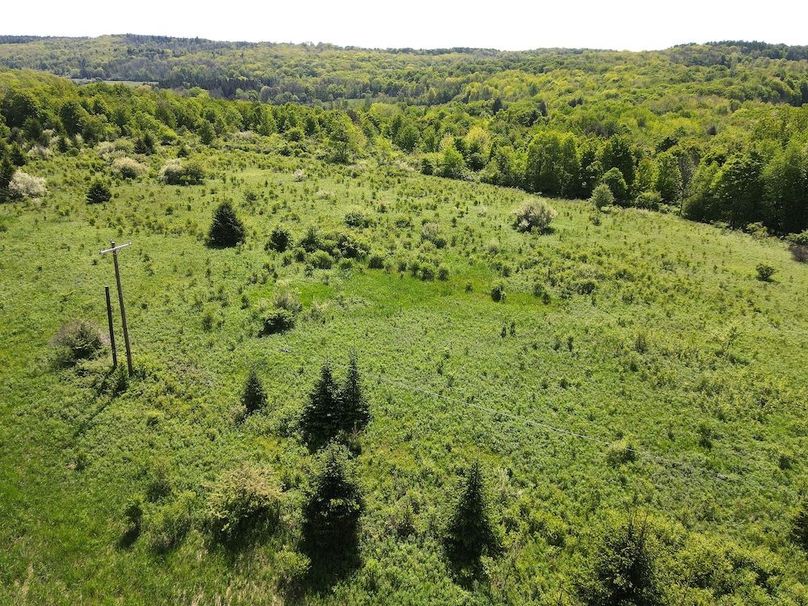 DJI_0411