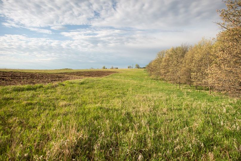 MONTGOMERY CO IA. 156.78_76