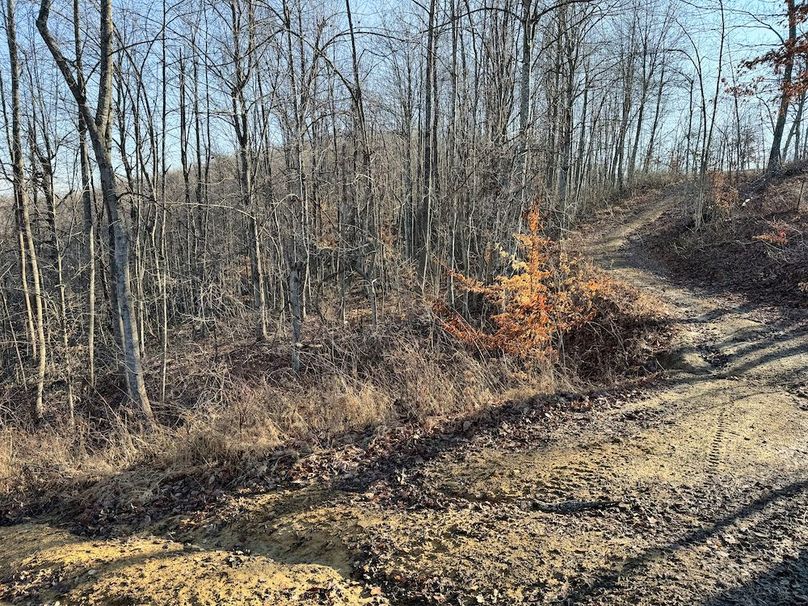 052 the split as you hit the ridge top trail system