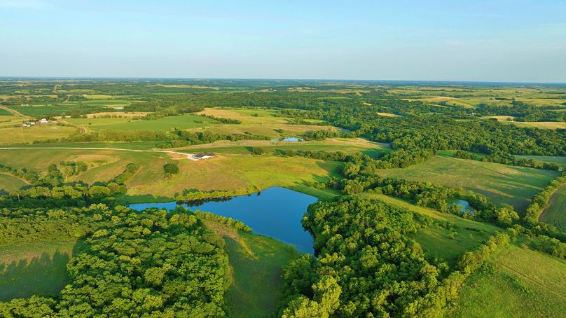 Harrison MO 480 Pro Photo_230 (6)