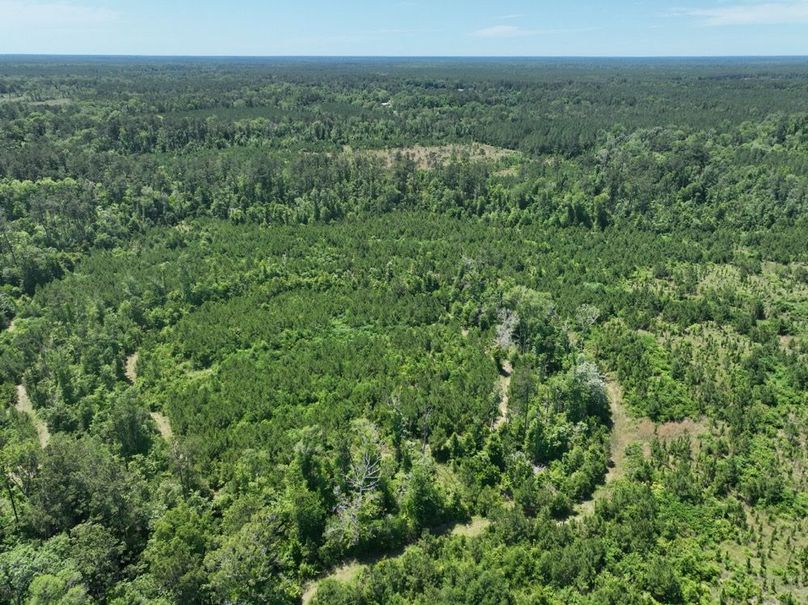 dji_fly_20250522_161322_228_1747959552618_photo