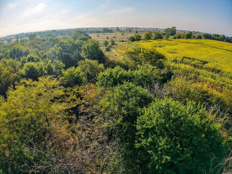 DJI_20250906083039_0109_D