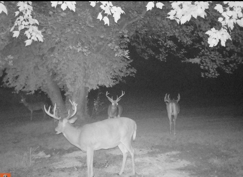 79CE66D3-2C68-4030-9DFF-F92B0A986A97