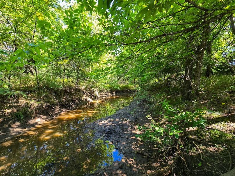 Copy of 20250729_111616