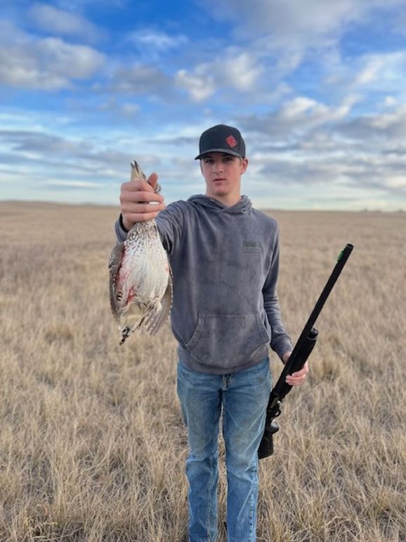 ebeafdc7-6d1e-423d-bba1-42dca5a27998