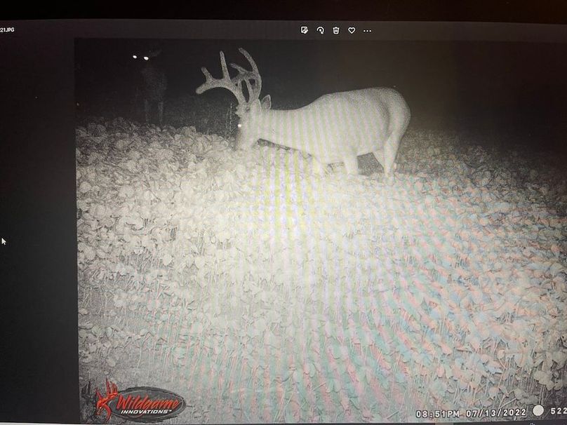 trailcam5