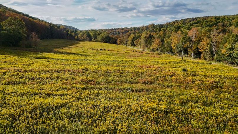 Tioga_30_Flanner Photo 41