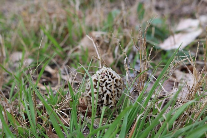 z372974017550958111_IMG_7113