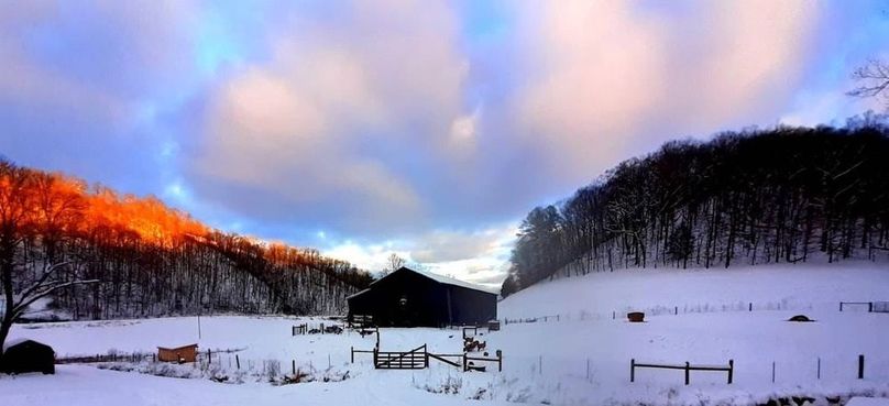 073 the winter snow is a gorgeous back drop here