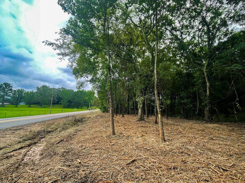 17D00CF6-45A9-45E9-AC5D-B1B1CBFE4064