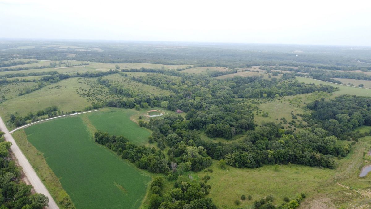 Recreational Property And Building Site In South Central IA Whitetail