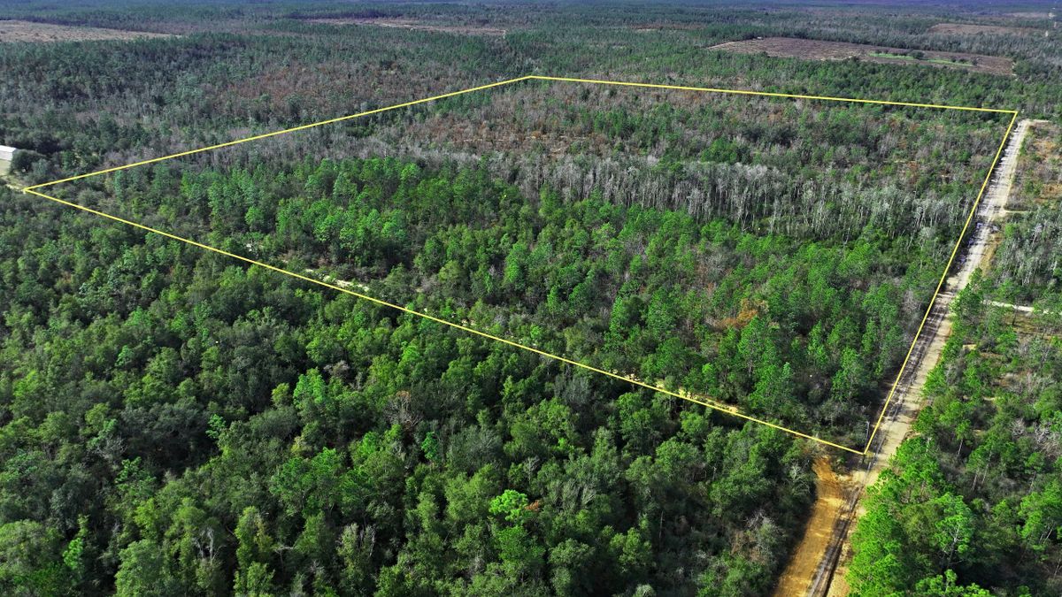 Recreational And Homesite Possibilities Whitetail Properties