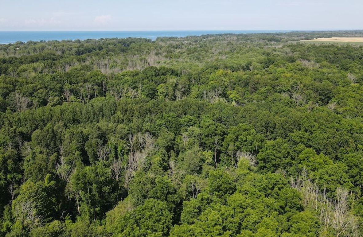 4 dji_fly_20250713_160204_86_1752437013254_photo