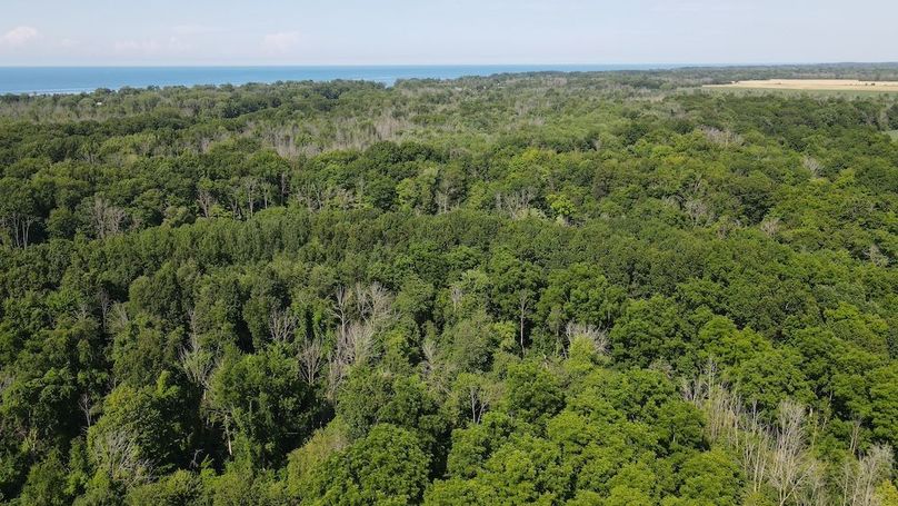 4 dji_fly_20250713_160204_86_1752437013254_photo