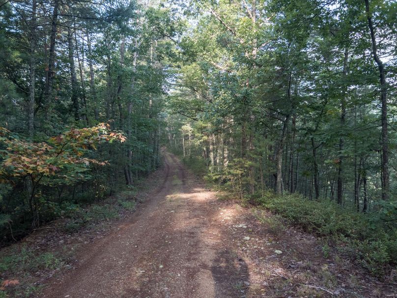 19_30.75_Alleghany_VA