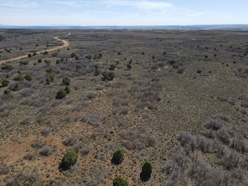 DJI_0011