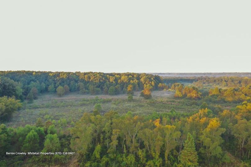 DeSoto 109 Prewett -21