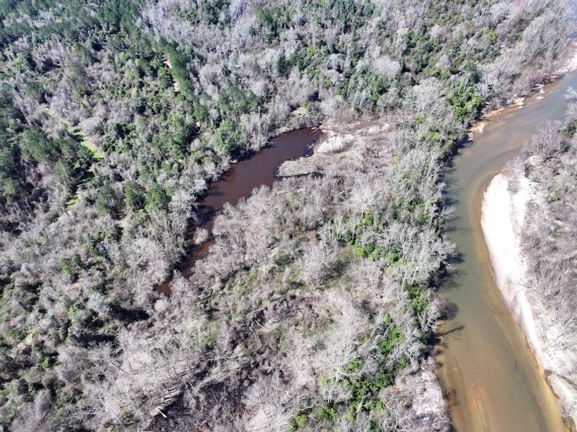 dji_fly_20260224_111750_0317_1772209052720_photo