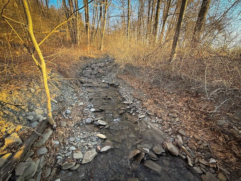 Cayuga 32 Stoyell Photos 54