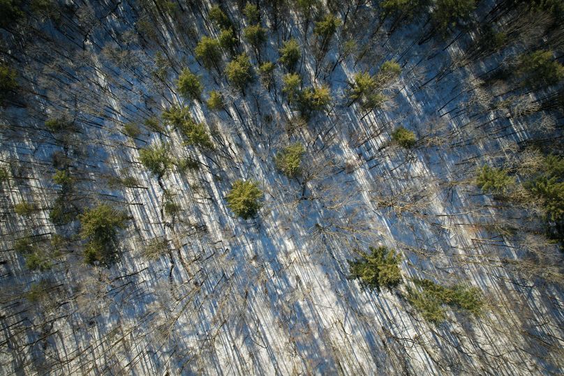 Tioga_11.9_Kilroy_Photos_32