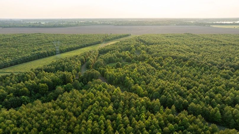 MadisonParLa1372-063