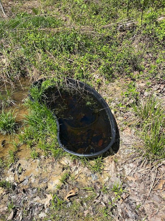 Carter Gordon 70 +_- 0017