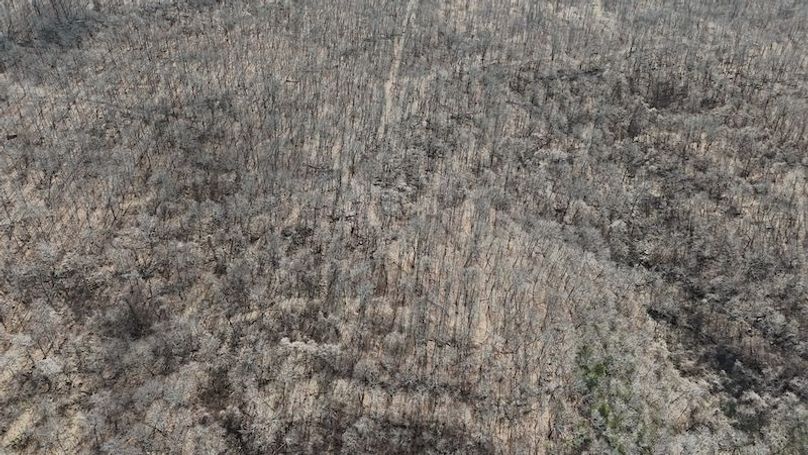 stone8020260307_0056