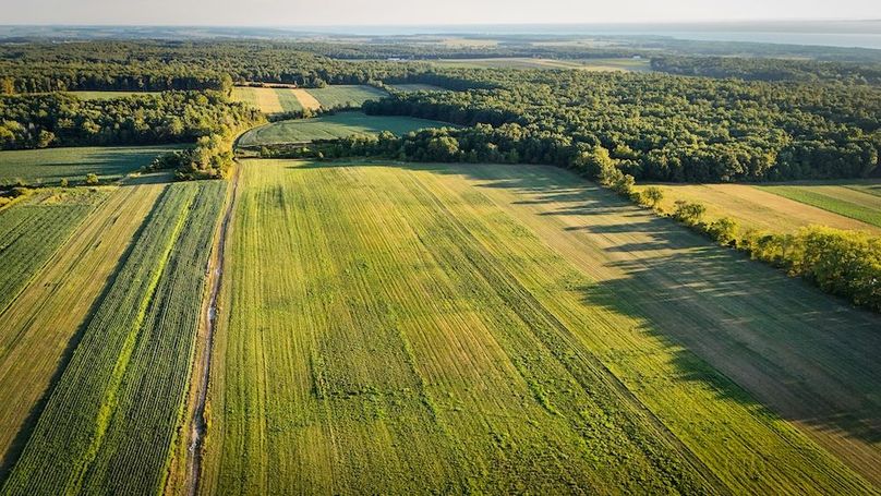 Copy of Wood Tract 3 Photo 4