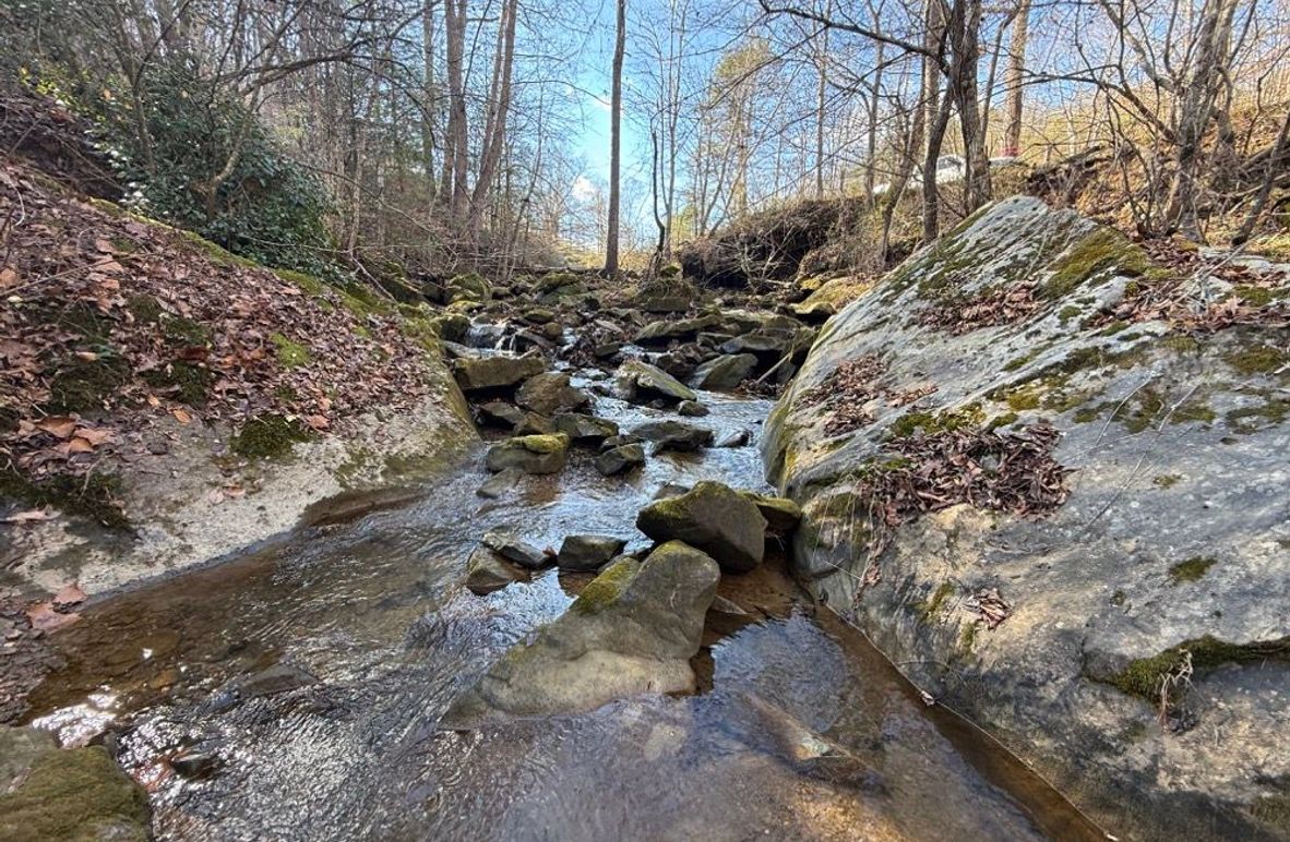001 beautiful Lick Creek along the south boundary