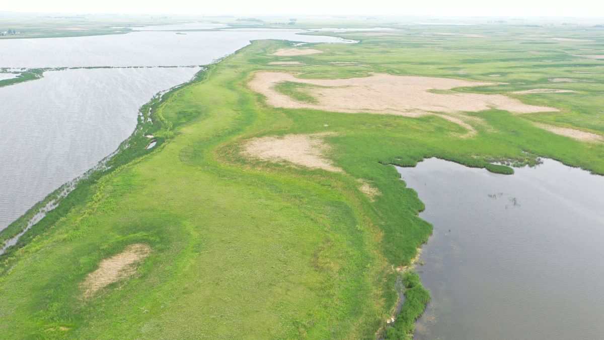 Excellent Waterfowl Hunting Land In North Dakota Whitetail Properties