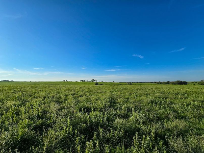 Copy of 20250625_072930