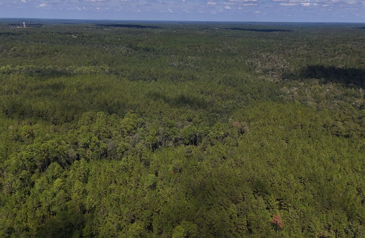 Copy of DJI_20230927125333_0010_D