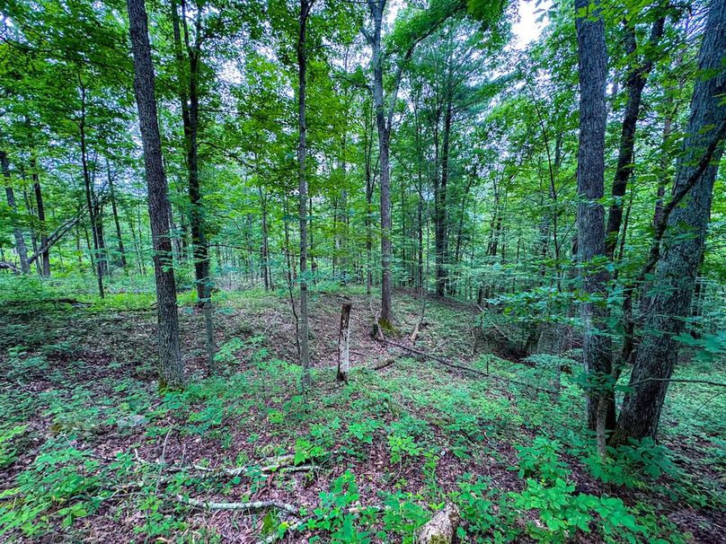 Tyler, WV 46 Lemasters -17