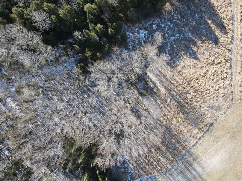DJI_0829