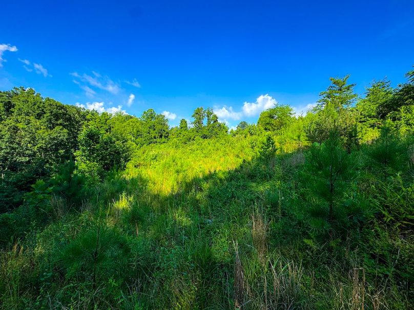 Lewis, WV 82.87 AC Barger-095