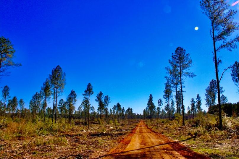 E5AB5131-CADC-4420-9A83-12ECAACE7E69_1_201_a