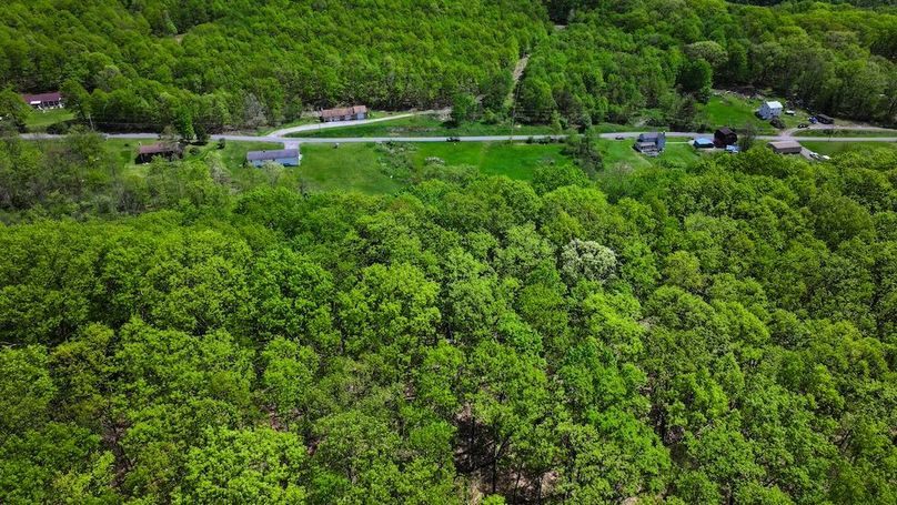 DJI_20250508022858_0124_D