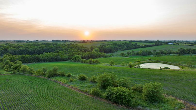 Harrison MO 480 Pro Photo_230 (19)