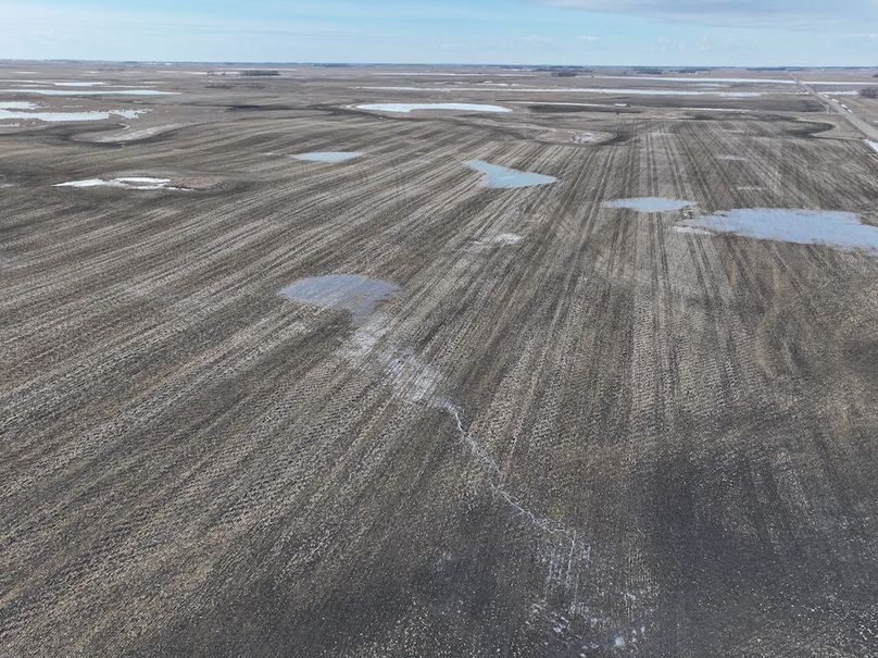 DJI_20260216150056_0078_D