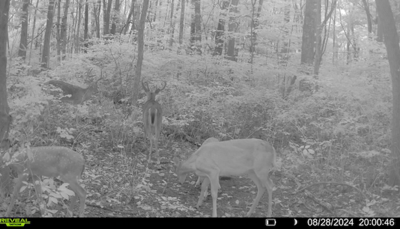 7BD22E78-E552-4936-ACF5-2CAC4875A301